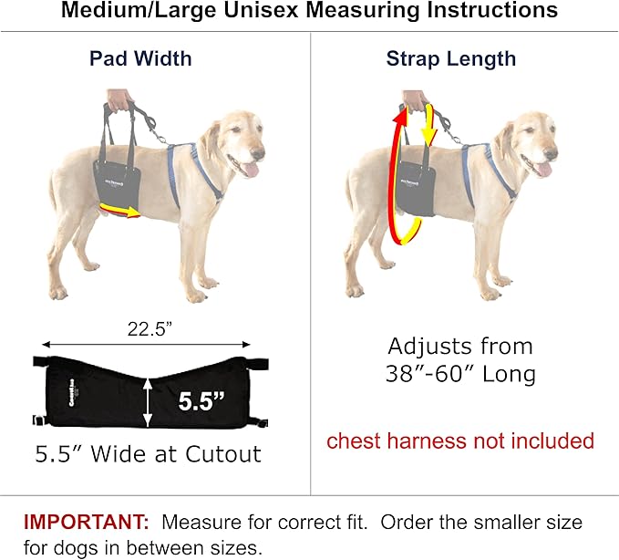 Dog Sling Hind Leg Support, M/LG Unisex with Cutout, Made in USA | Help Pets Walk, K9s Recover from Surgery, Fits Male & Female, Integrated Leash, Machine Wash/Dry, Chest Harness NOT Included - Image 2