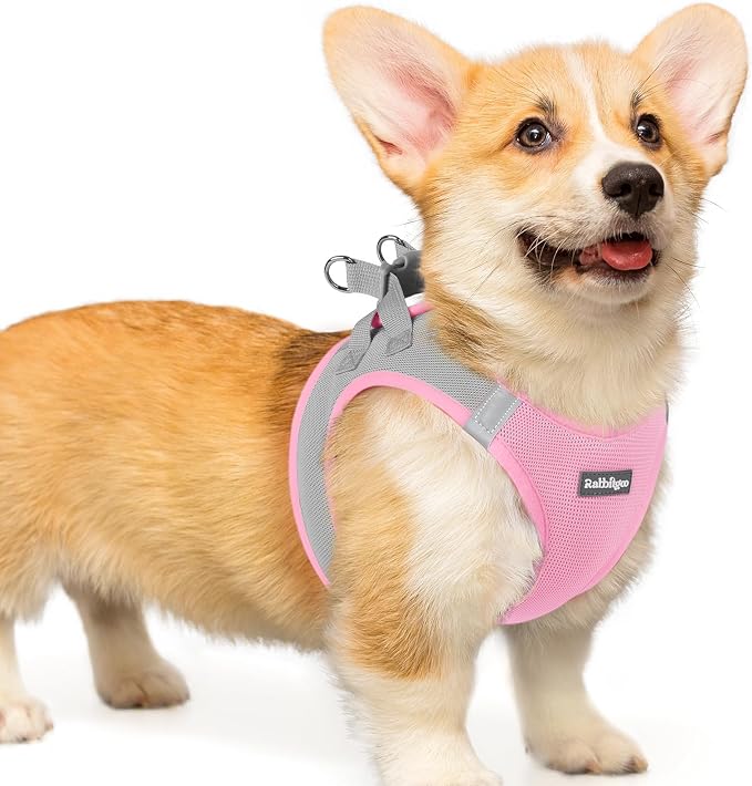 rabbitgoo Step-in Small Dog Harness, Puppy Vest for Small Medium Sized Pet | Easy Put on and off, Lightweight, Soft, Breathable Quick-Dry Air Mesh for Comfortable Secure Walking, Light Pink & Gray L by rabbitgoo