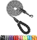 Rttochfy Rope Dog Leash 2/4/5/6/8/10 FT with Comfortable Padded Handle and Highly Reflective Threads for Small Medium and Large Dogs Heavy Duty (1/2"-4 FT, Grey) by Rttochfy