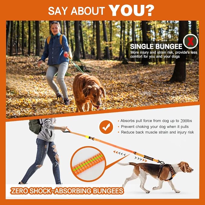 Heavy Duty Bungee Dog Leash with Locking Carabiner for Large Dogs | No Pull Bungee Shock Absorbing, 2 Padded Handles for control, Fits 60-150 lbs Dogs, Seatbelt Buckle, Reflective - Image 6