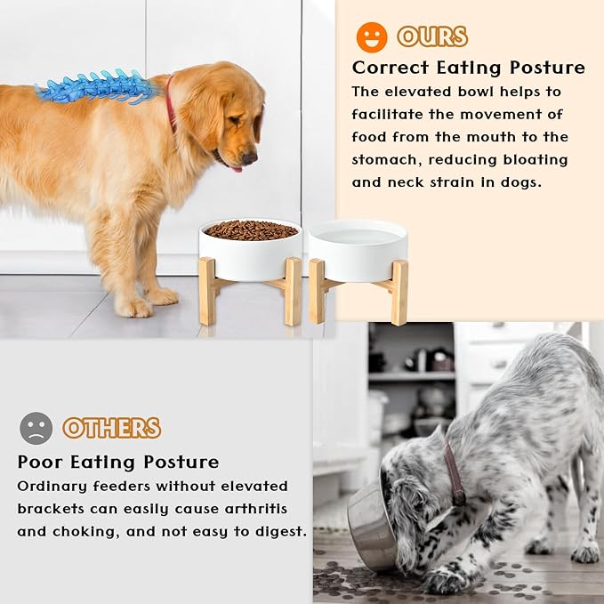 SPUNKYJUNKY Ceramic Elevated Dog Bowls 2 Pack - 5.1inch Raised Dog Bowls with Non-Slip Wooden Stand for Small Dogs Dishwasher Safe(White,13.5OZ*2) - Image 2