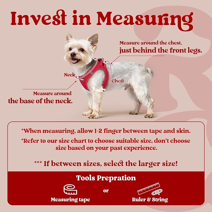 rabbitgoo Step-in Small Dog Harness, Puppy Vest for Small Sized Pet | Easy Put on and off, Lightweight, Soft, Breathable Quick-Dry Air Mesh for Comfortable Secure Walking, Red S - Image 2