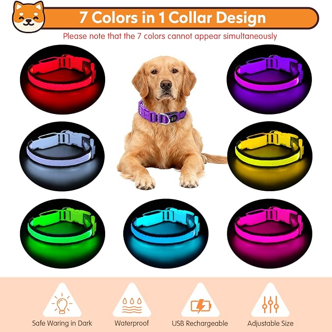 LED Dog Collar, Light Up Dog Collar,for Night Walking(Small,Purple) | Adjustable,Bright RGB 7 Colors Light Glowing Collar,Waterproof,Nylon,Soft,For Small and Medium Dogs,USB C to Charge - Image 5