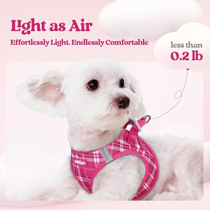 rabbitgoo Dog Harness Small Sized and Leash Set, Step-in Puppy Pet Vest | Light, Soft, Breathable Air Mesh, Easy on and Remove with Hook & Loop, Secure Reflective for Walking, Rose Red Plaid M - Image 3