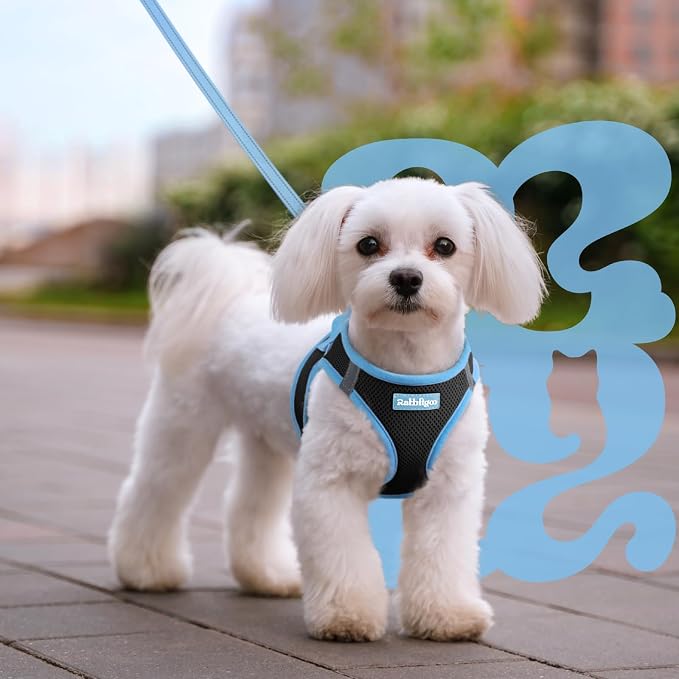 rabbitgoo Dog Harness Small Sized and Leash Set, Step in Soft Vest | Breathable Mesh, Easy Wear with Hook & Loop, Light and Reflective for Walking, Multi-colored, Black & Blue, M - Image 8