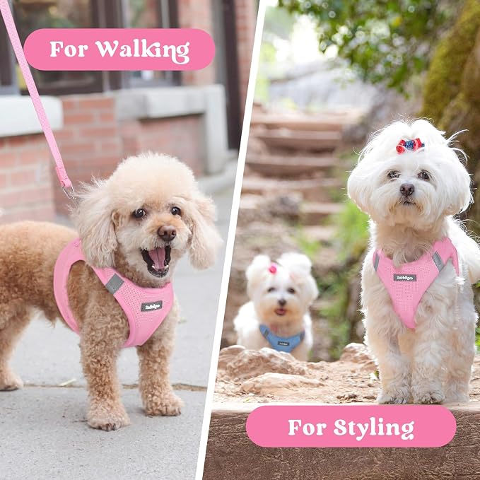 rabbitgoo Step-in Small Dog Harness, Puppy Vest for Small Sized Pet | Easy Put on and off, Lightweight, Soft, Breathable Quick-Dry Air Mesh for Comfortable Secure Walking, Light Pink M - Image 9