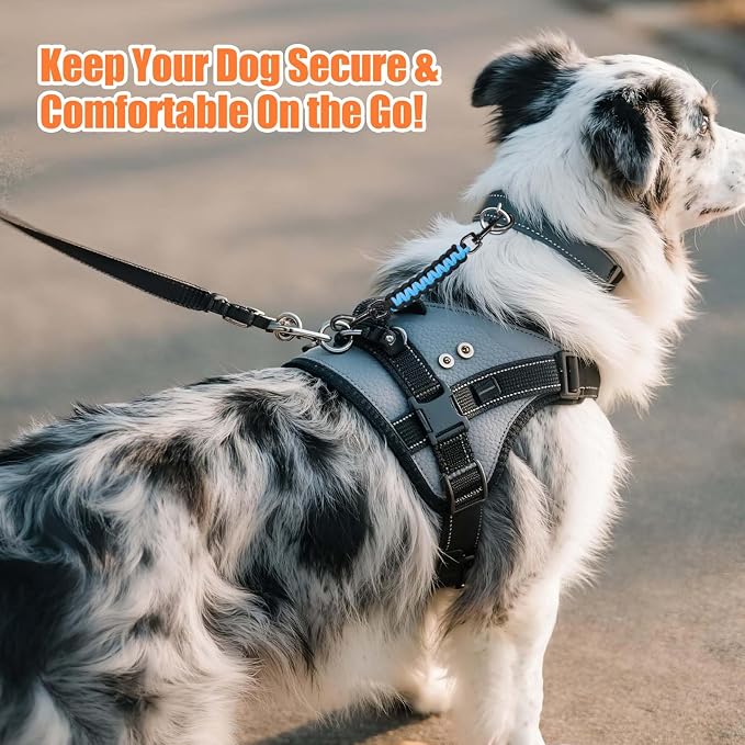 Dog Collar Safety Clip, Collar Companion, Handmade Backup Safety Strap, Double-Ended Clip Leash Connector, Suitable for Dog Harnesses, Prong, Pinch Collars (Black,Sky Blue, 1 Pack) - Image 7