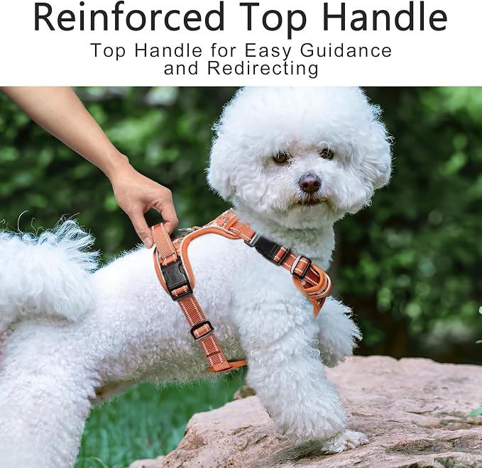 Timos Small Dog Harness, No Pull No Choke, Easy On & Off, Flower Orange, S | Adjustable Reflective Soft Padded, Neck Quick Release with 3 Buckles, Front & Back 2 Clips and Handle for Walking Training - Image 6