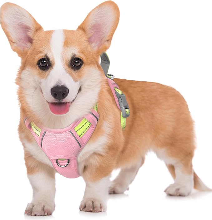 BARKBAY No Pull Dog Harness Large Reflective Dog Harness with Front Clip and Easy Control Handle for Walking Training Running with ID tag Pocket(Baby Pink & Sunlight,M) by BARKBAY
