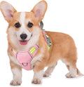 BARKBAY No Pull Dog Harness Large Reflective Dog Harness with Front Clip and Easy Control Handle for Walking Training Running with ID tag Pocket(Baby Pink & Sunlight,M) by BARKBAY