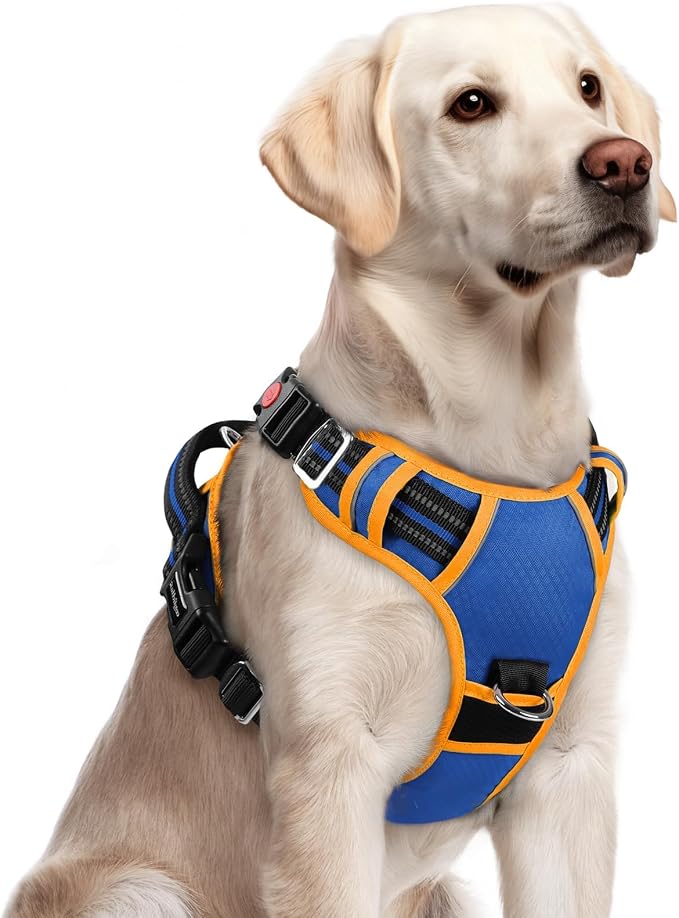 rabbitgoo Dog Harness for Large, No Pull 3 Buckles Easy On & Off | Soft Padded, Walking with Control Handle, Adjustable and Reflective, Royal Blue & Orange, Large by rabbitgoo