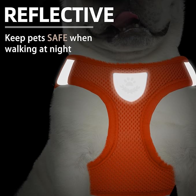 PUPTECK Dog Harness, Collar and Leash Set No Pull for Small Medium Sized | Soft Mesh Puppy Step-in Escape Proof Reflective No Choke Pet Cat Adjustable Walking Vest - Image 5