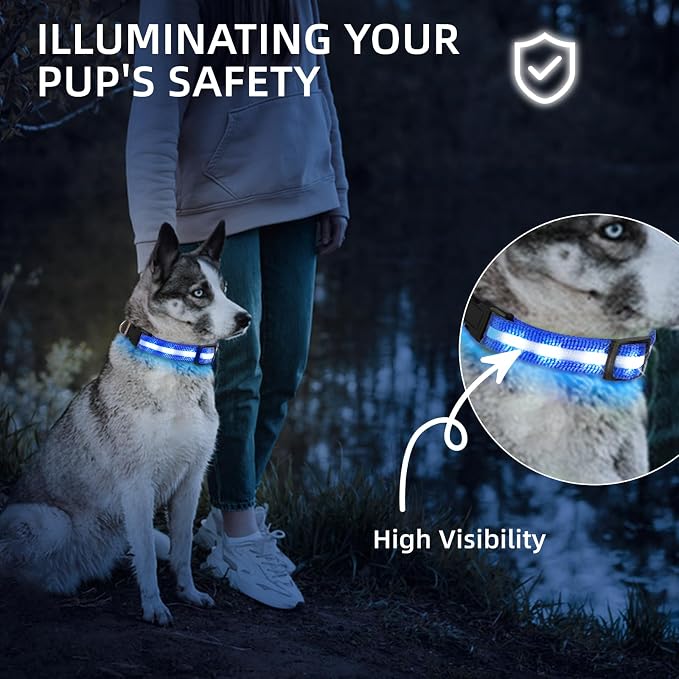 Super Bright LED Dog Collar, Waterproof Light up Collars(Blue, X-Small) | Lighted Dog Collar with Adjustable Fit, Soft Nylon Comfort, USB-C Rechargeable, Glow in the Dark Visibility for Night Walks - Image 5