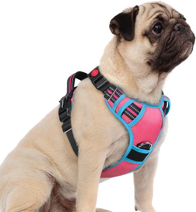 rabbitgoo Dog Harness Small Sized, No Pull 3 Buckles Easy On & Off | Soft Padded, Walking with Control Handle, Adjustable and Reflective, Pink & Blue, Small by rabbitgoo