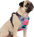 rabbitgoo Dog Harness Small Sized, No Pull 3 Buckles Easy On & Off | Soft Padded, Walking with Control Handle, Adjustable and Reflective, Pink & Blue, Small by rabbitgoo