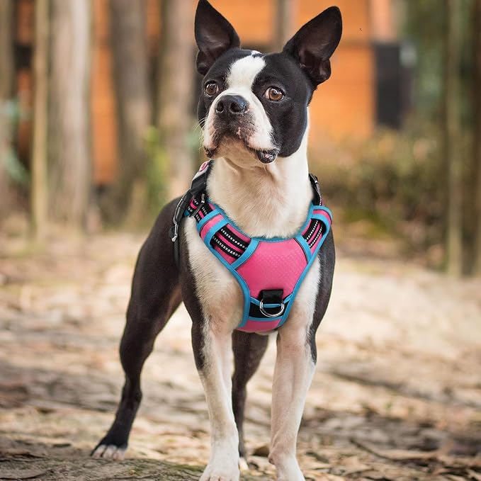 rabbitgoo Dog Harness Small Sized, No Pull 3 Buckles Easy On & Off | Soft Padded, Walking with Control Handle, Adjustable and Reflective, Pink & Blue, Small - Image 8