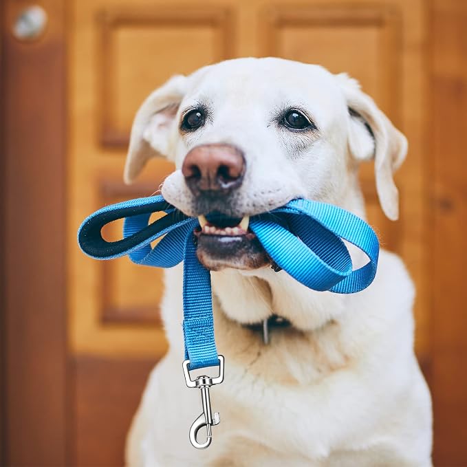 6 Pack Dog Leashes for Large Dogs, Reflective Nylon, Padded Handle, 5 ft | Bulk Set for Medium and Large Dogs, Multi Color, Double Sided Reflective Strip, Soft Grip Handle - Image 4