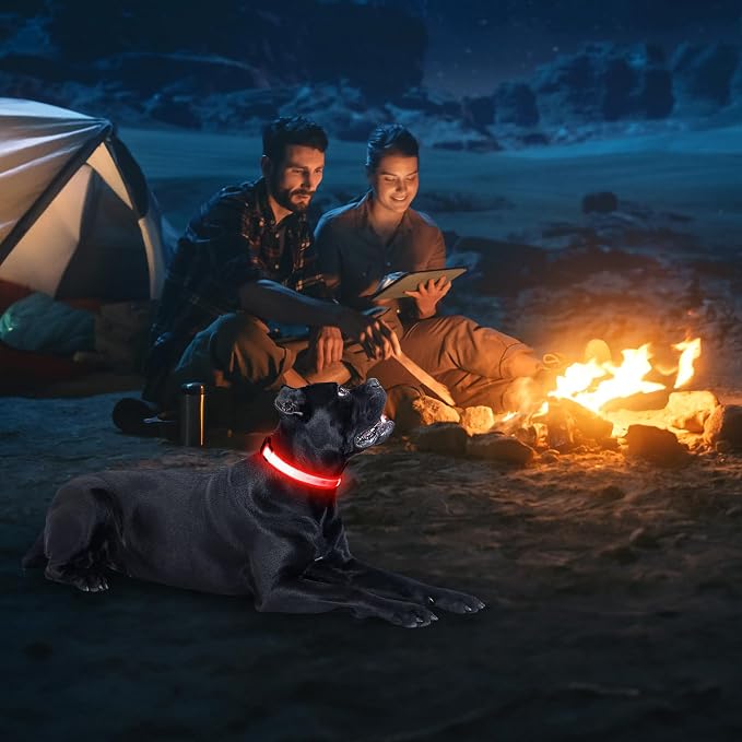 Illumifun LED Dog Collar, USB Rechargeable Light Up Dog Collars, Flashing Safety Dog Collar Glow in the Dark (Red, Medium) - Image 6