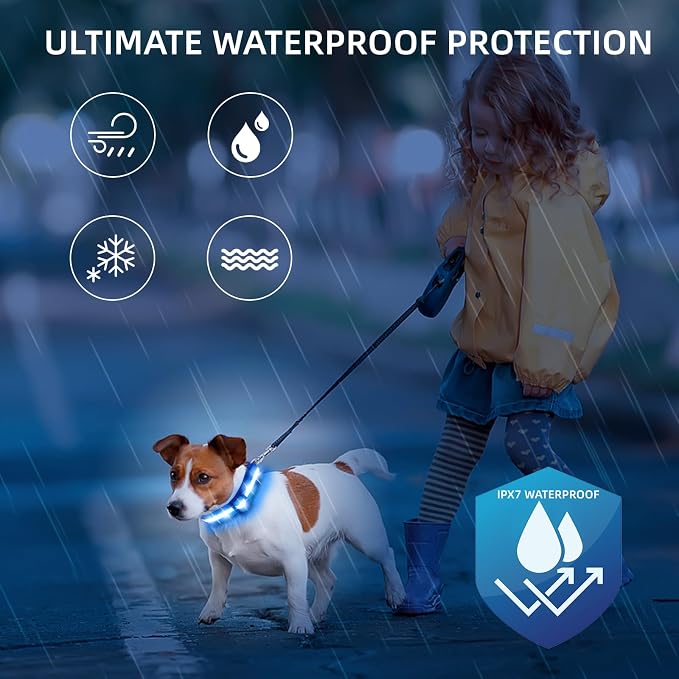 Super Bright LED Dog Collar, Waterproof Light up Collars(Blue, X-Small) | Lighted Dog Collar with Adjustable Fit, Soft Nylon Comfort, USB-C Rechargeable, Glow in the Dark Visibility for Night Walks - Image 4