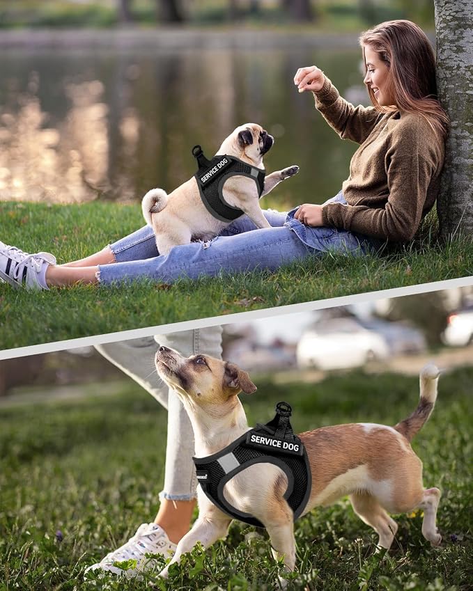 FAYOGOO Service Dog Vest Set for Small Dogs, Mesh Harness and Leash | Lightweight step-in vest with leash and removable identification patches; measure neck and chest before choosing a size - Image 5