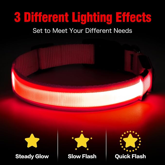 Illumifun LED Dog Collar, USB Rechargeable Light Up Dog Collars, Flashing Safety Dog Collar Glow in the Dark (Red, Medium) - Image 2