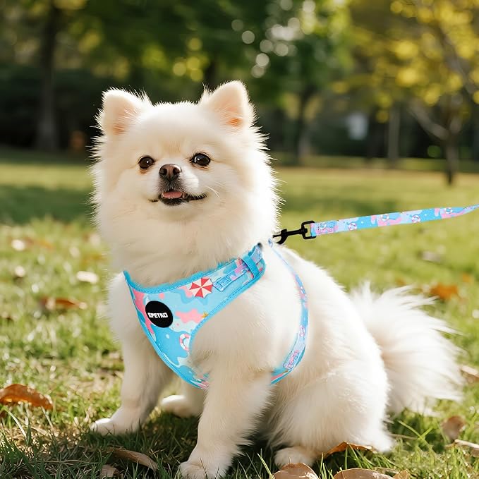 Small Dog Harness and Leash Set of 6, No Pull Soft Lightweight Mesh Puppy Harness， Adjustable Cute Floral Pattern Pet Harness for Small Medium Dogs (Blue Sea, L) - Image 7