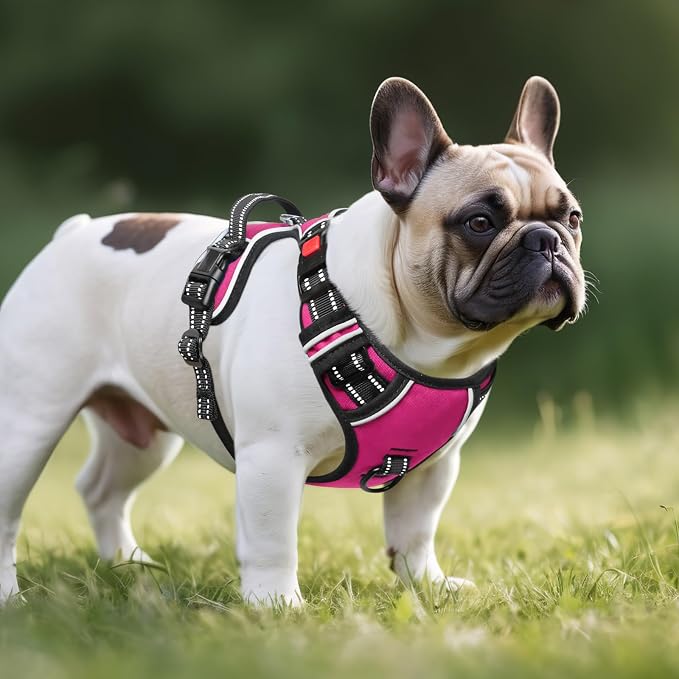 Timos Dog Harness, Front Clip No Pull Medium Sized with Handle, Rosy, M | No Choke, Adjustable Reflective Soft Padded, Quick Release 3 Buckles, Easy On & Off, Front & Back 2 Clips for Outdoor Walking - Image 6