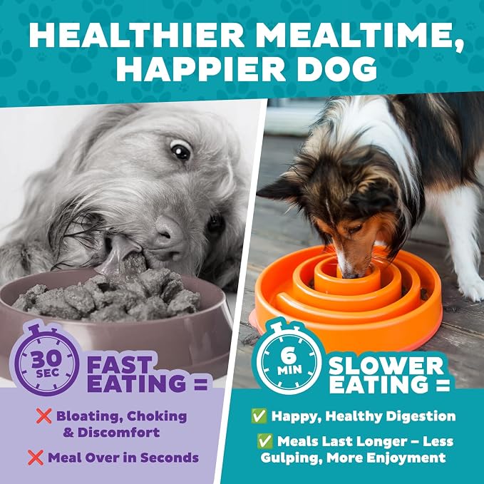 Outward Hound Fun Feeder Slo Bowl – Large 4‑Cup Capacity,Slow Feeding,Medium to Large Dogs,Non‑Slip,Orange,Swirl Pattern,(Pack of 6) - Image 8