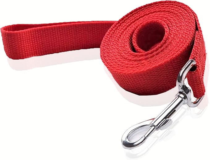 Nylon Dog Leash 4 Ft 5 Feet 6 Foot Long, Walking Training Dog Leashes for Medium Large Dogs, 1 Inch Wide (3/4" X 6 ft, Red) by SALO