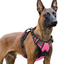 rabbitgoo Dog Harness for Large, Updated Easy On & Off with 3 Buckles | No Pull No Choke, Walking with 2 Clips and Handle, Adjustable Soft Reflective, Rose Pink, X-large by rabbitgoo