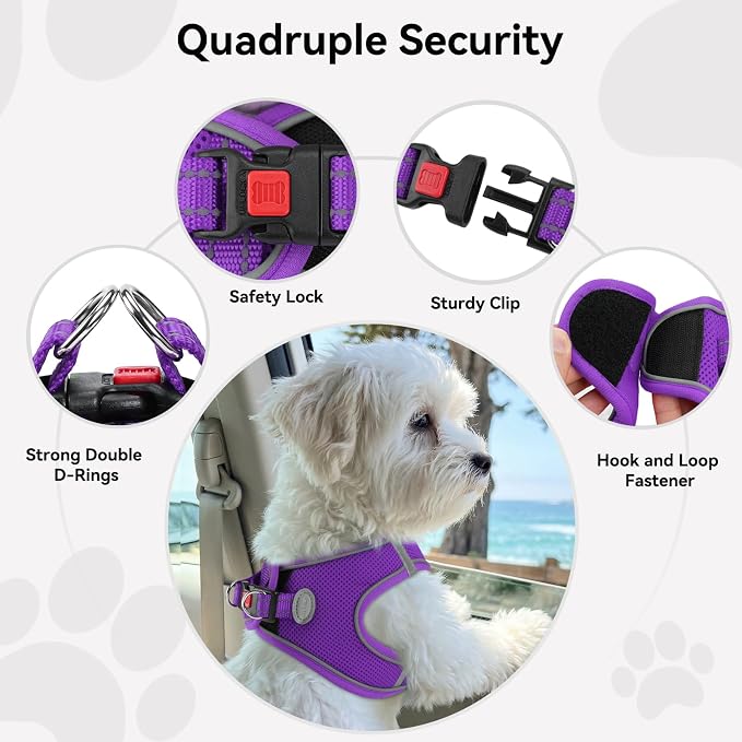 Joytale Step-in Dog Harness, Soft Breathable Mesh, Purple L | Adjustable Fit for Small Dogs, Easy Step-in with Secure Fastener, Even Chest Pressure, Reflective For Night Safety, Washable - Image 6