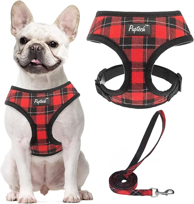 PUPTECK Small Dog Harness and Leash Set No Pull for XS XXS Sized Dogs Puppy | Escape Proof No Choke Pet Cat Adjustable Soft Padded Walking Vest by PUPTECK