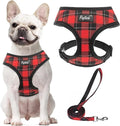 PUPTECK Small Dog Harness and Leash Set No Pull for XS XXS Sized Dogs Puppy | Escape Proof No Choke Pet Cat Adjustable Soft Padded Walking Vest by PUPTECK