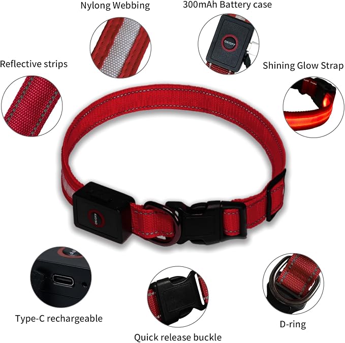 LED Dog Collar Light Up with 2025 Bright Beads & 300mAh Battery, Type-C Rechargeable Waterproof Dog Collar, 3 Flash Mode 15H for Night Safety, Adjustable Nylon Glow Collar for Small Medium Large Dogs - Image 4
