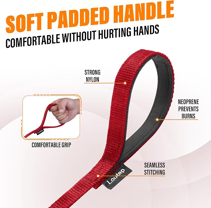 Long Line Dog Training Leash with Padded Handle, 100 ft, Red | Durable nylon webbing with reinforced stitching and 360° swivel clip for recall and obedience - Image 3