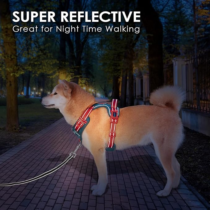 No Pull Dog Harness, Unique Colors Reflective Adjustable Dog Vest | with Soft Training Handle Metal Clips for Small Medium Large Dogs (Teal Base & Red Straps,L) - Image 5