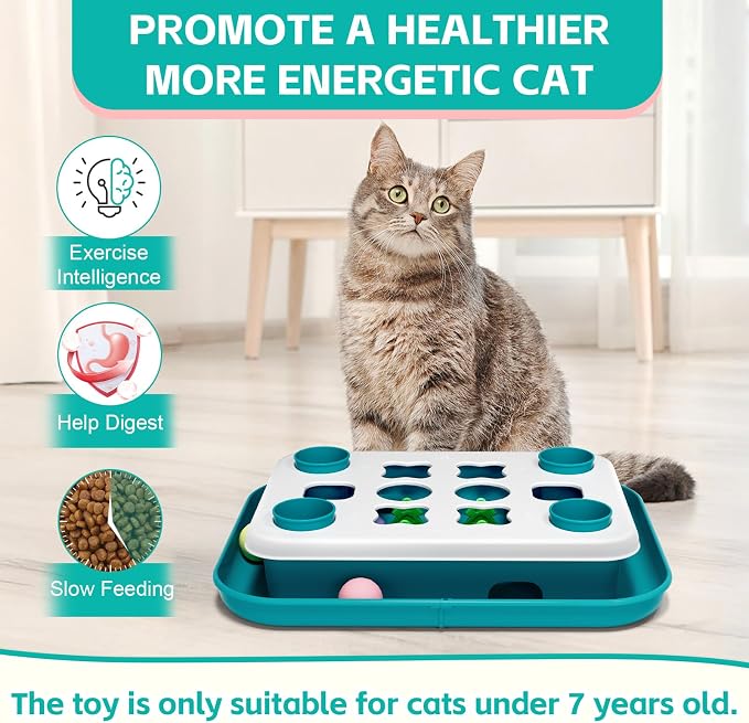 Cat Puzzle Toys for Indoor Cats Mind Game Ball Track Kitten Food Puzzles Toy Sensory Activity Cat Enrichment Toys Treat Feeder Entertainment Mental Stimulation Kitty Gift - Image 4