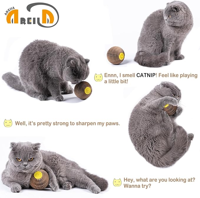 Cat Toys for Indoor Cats, Catnip Toys with Refillable Catnip, 3 Inch Scratcher Ball, Interactive Rolling Scratch Toy for Bored Indoor Adult Felines, Small Corrugated Paper Ball - Image 2