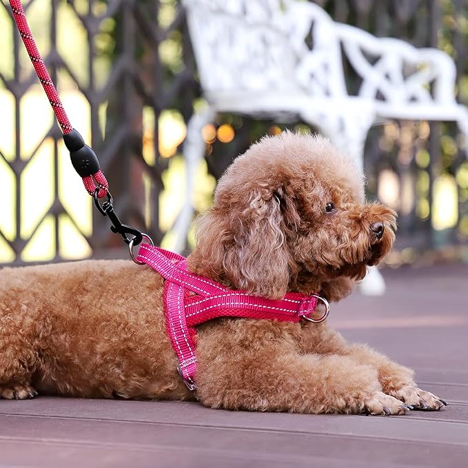 Plutus Pet No Pull Dog Harness for Puppy Small Dogs, Breathable Mesh Padded | Adjustable Reflective with Handle, Escape Proof, Quick Fit Pet Vest, Front Clip, for Training and Walking, Pink, XXS - Image 5