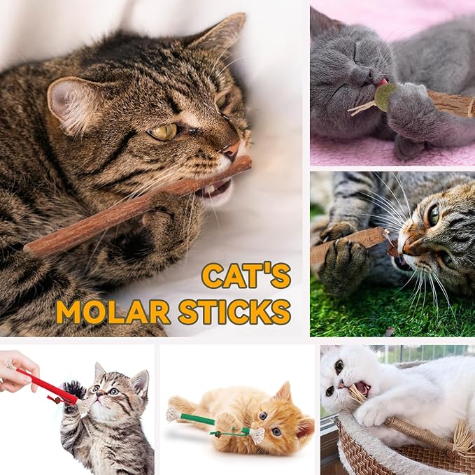 Kyouki Cat Toys Cat Chew Toys, Silvervine Sticks Catnip Rope Toys for Cats Teeth Cleaning, Kitten Dental Care, Kitty for Indoor Cats Increase Appetite,Enhances Oral & Dental Health (20 Pack) - Image 3