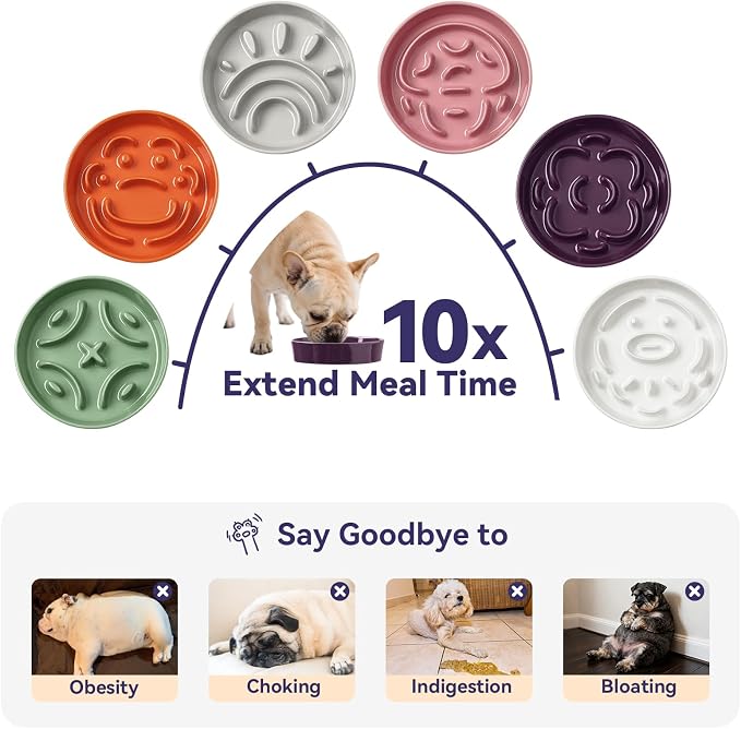 Ceramic Slow Feeder Dog Bowl - Feeding Dish for Fast Eaters - Maze Dog Bowl to Slow Down Eating - Ideal Food Control Dish for Small Breeds - 0.8 Cups (80g) - 6.3 Inch - White - Image 4