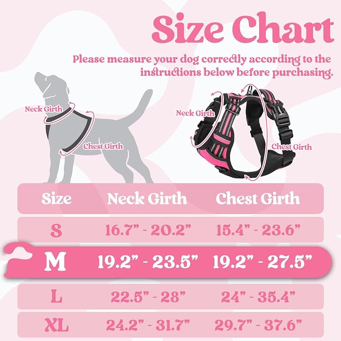 rabbitgoo Dog Harness Medium Sized, Updated Easy On & Off with 3 Buckles | No Pull No Choke, Walking with 2 Clips and Handle, Adjustable Soft Reflective, Rose Pink, Medium - Image 2