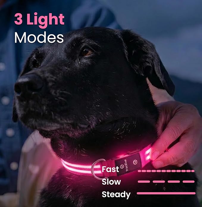 Tractive LED Light Up Dog Collar USB Rechargeable Waterproof (Pink) - Image 4