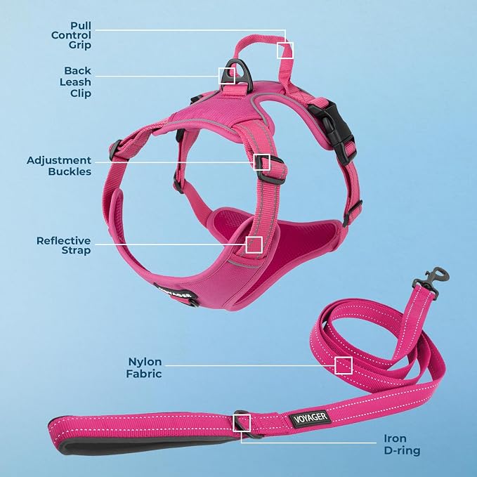 Voyager Dog Harness Dual Leash Attachment No-Pull Control Adjustable Soft but Strong Pet Harness for Medium and Large Dogs with 3M Reflective Technology, Leash Set Fuchsia Nylon, L (Chest: 25-30") - Image 3