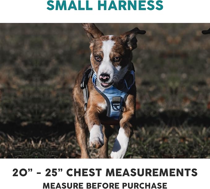 Embark No Pull Dog Harness, Reflective Adjustable Training Vest, No Choke | Adjustable straps fit all dog breeds with sturdy hooks; 360° reflective trim, soft padded Harness Design for All Dogs - Image 2