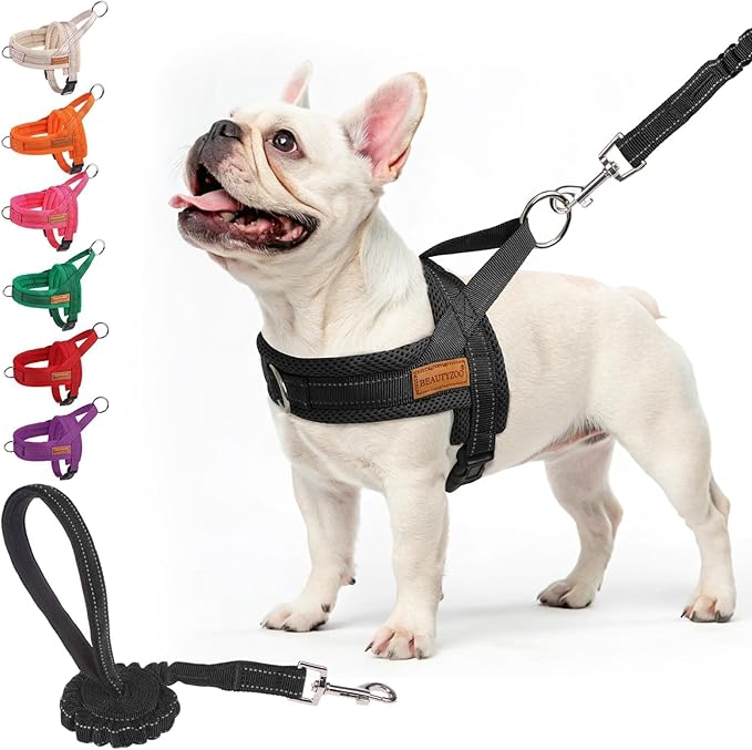 BEAUTYZOO Dog Harness Medium Sized and Leash Set, No Pull Step in Pet Vest | Breathable Mesh with Handle, Reflective, Adjustable No Choke Escape Proof, Lightweight, Easy Control for Walking, Black M by BEAUTYZOO
