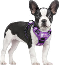 rabbitgoo Dog Harness, No Pull for Small Dogs with 2 Leash Clips, Pet Vest | No Choke with Handle, Adjustable Soft Padded, Reflective, Easy Control for Walking, Purple Plaid, Small by rabbitgoo