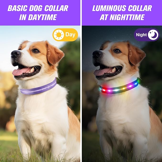 LED Dog Collar, RGB Light Up Dog Collar USB Rechargeable 6 Modes | Waterproof Light Up Dog Collar with Soft Nylon Comfort, Adjustable Fit for Small Medium Large Dogs Purple S - Image 6