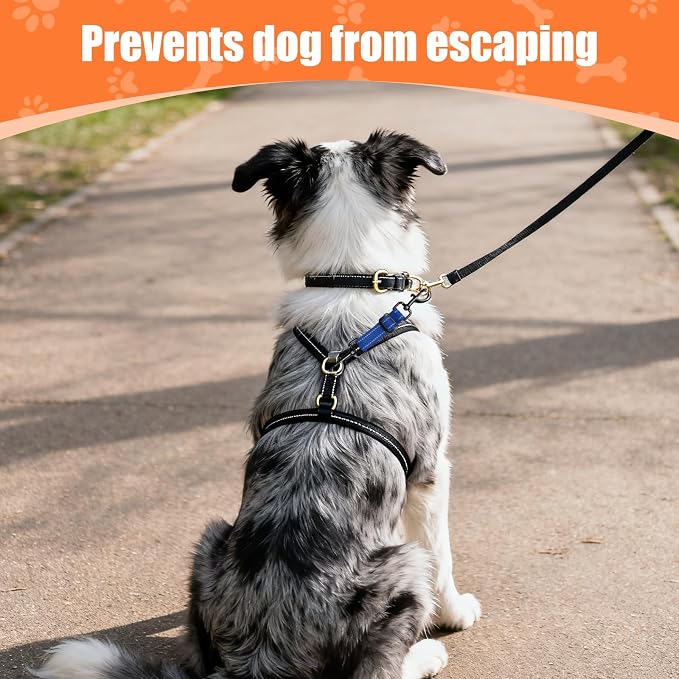 Dog Collar Safety Clip, Reflective Double-Ended Backup Connector for Harness to Collar, Adjustable Safety Clip for Prong, Pinch Collars, Prevents Escapes & Accidental Disconnection - Image 6