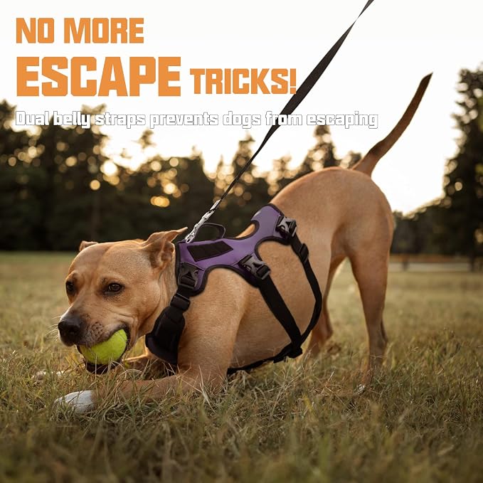 AUROTH Escape Proof No Pull Dog Harness - Soft Padded Reflective Adjustable Vest with Lift Handle - Medium Size - Image 3